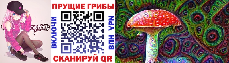 Купить закладки  Советский  Галлюциногенные грибы Magic Shrooms 